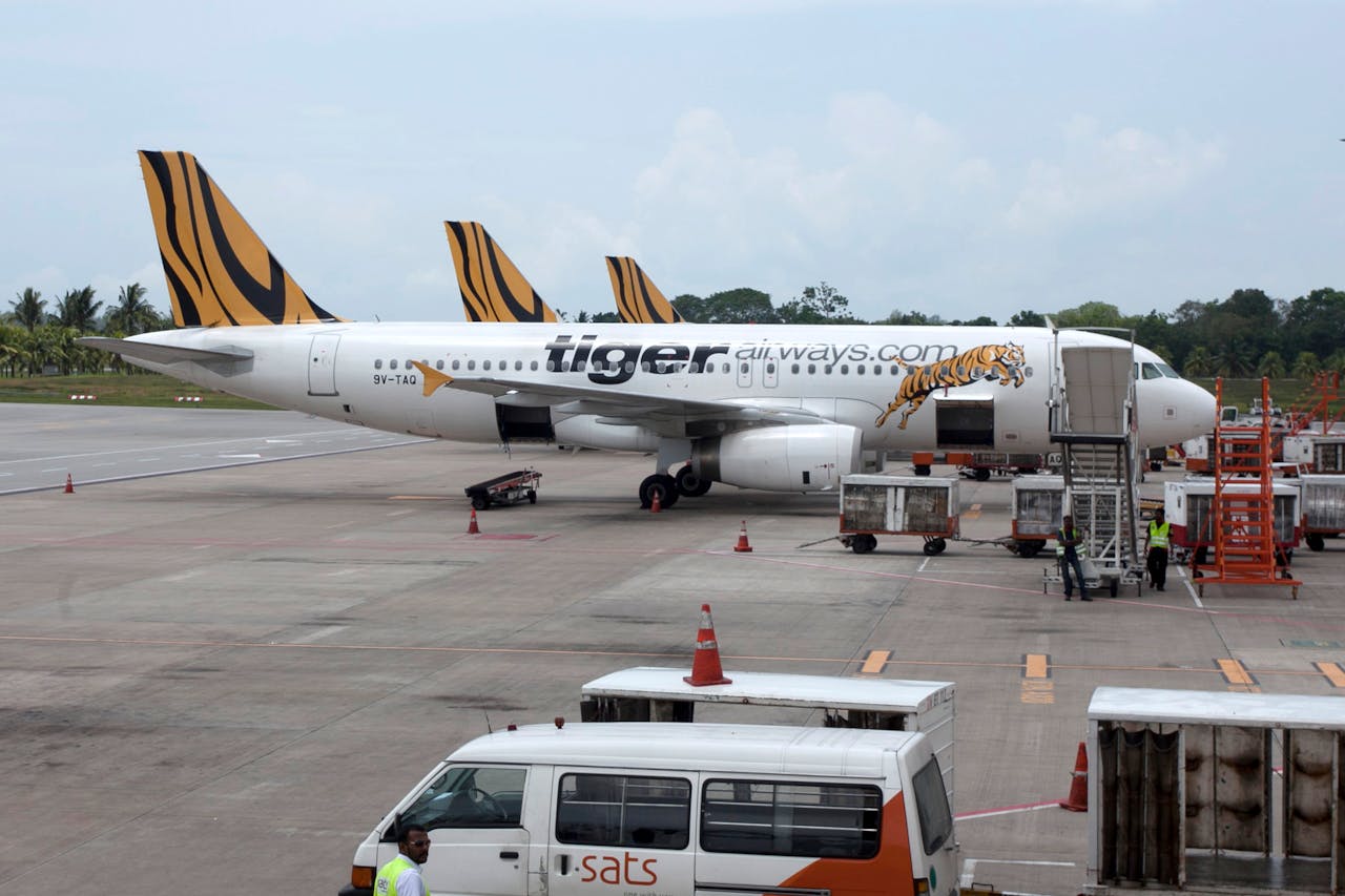 About pexels-photo-35188227.jpeg